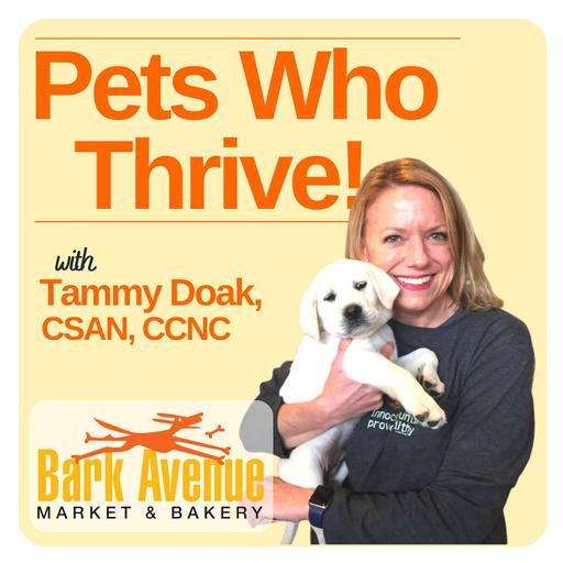 Ep 146: Revolutionizing Pet Care: Inside Rehab for Pets with Dr. Broadhurst