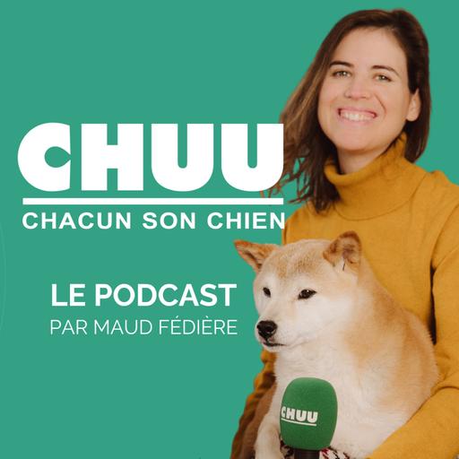 À Pékin, une pension canine pas comme les autres !