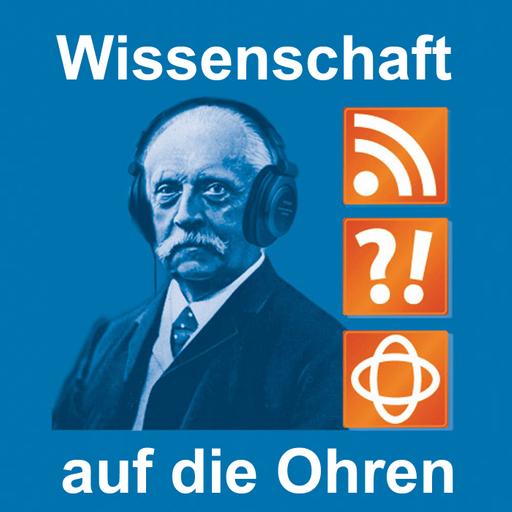 Gravitationswellenforschung (Raumzeit)