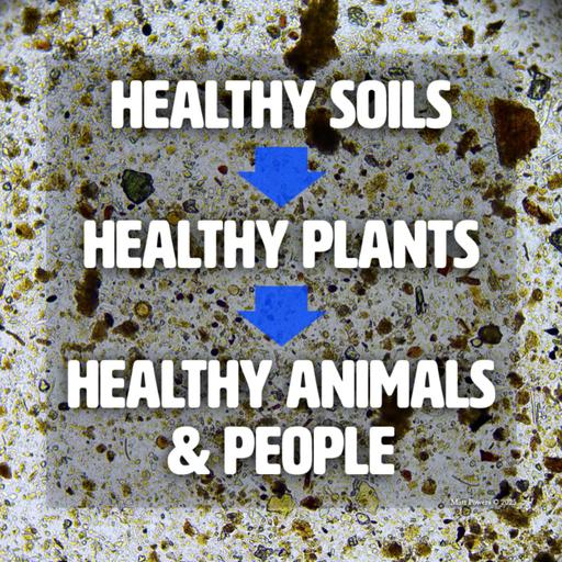Soil Microscopy for Healthy Fruit Trees with Matt Powers