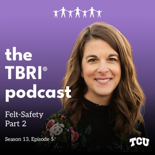 Felt Safety Part 2