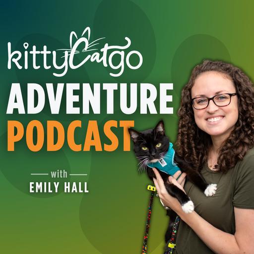 5:2 - How Proper Feeding Schedules Improve Cat Behavior, Food Motivation, and Training Success