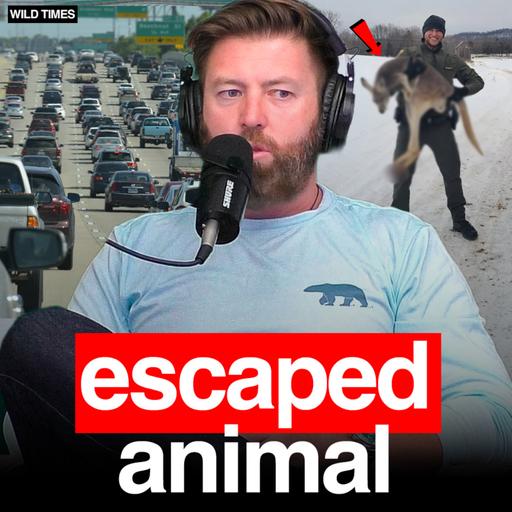 Mystery Animal Causes Chaos on American Highway