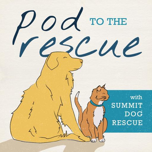 Pattern Games for Reactive & Rescue Dogs with Leslie McDevitt | Building Calm, Confidence & Resilience