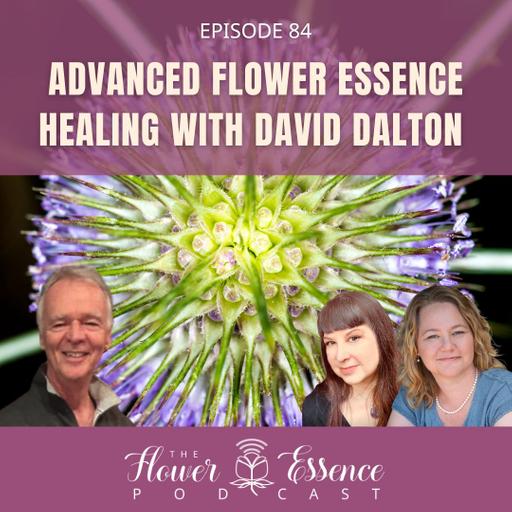 FEP84 Advanced Flower Essence Healing with David Dalton