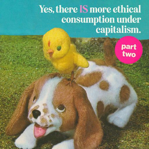 Episode 257: There IS (more) ethical consumption under capitalism (part two) with Lisa of Retro Housewife Goes Green