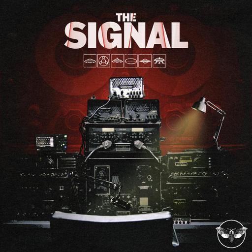 The Spaces Between | The Signal