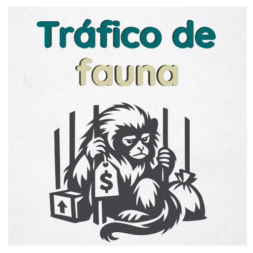 Tráfico de fauna silvestre en un país megadiverso