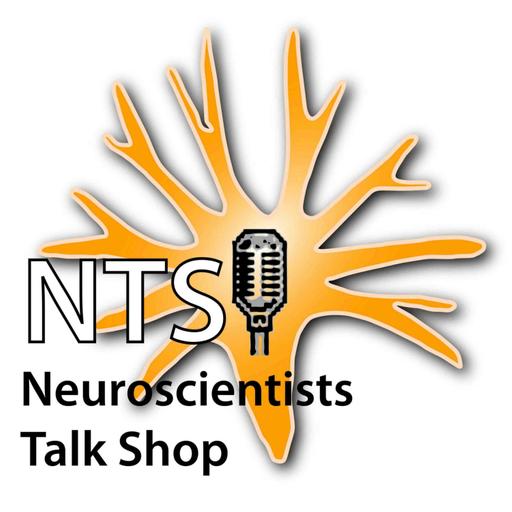 Episode 328 - Place Cells and Spatial Imagination