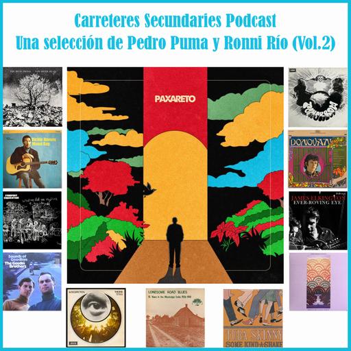 Carreteres Secundaries 141 - Una selección de Pedro Puma y Ronni Río (Vol.2)