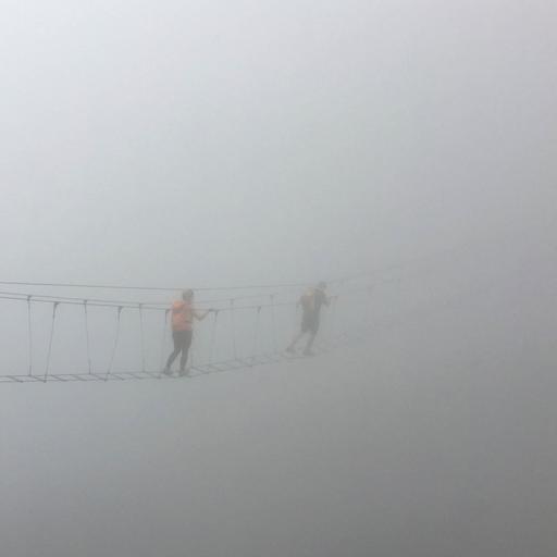 239. Beyond Fear: What It’s Really Trying to Tell You