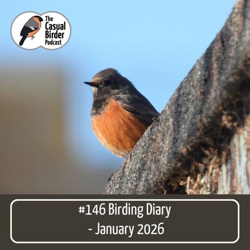 Birding Diary - January 2026