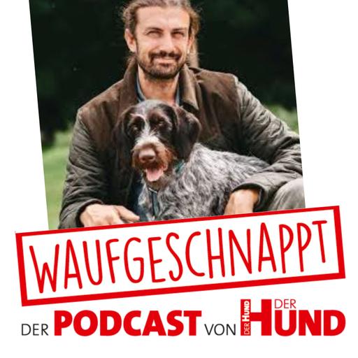 Familienhunde, Futterbelohnung & Ballwerferei - Michael Stähler