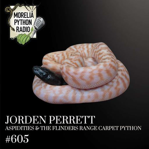 Jorden Perrett: Aspidities & the Flinders Range Carpet Python
