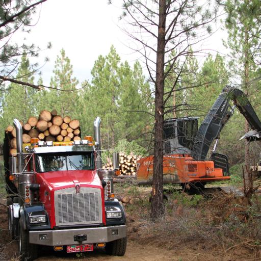The past, present and future of Oregon's timber industry