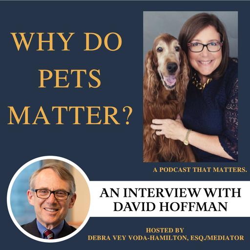Mediation, Man's Best Friend & Breaking Impasse
