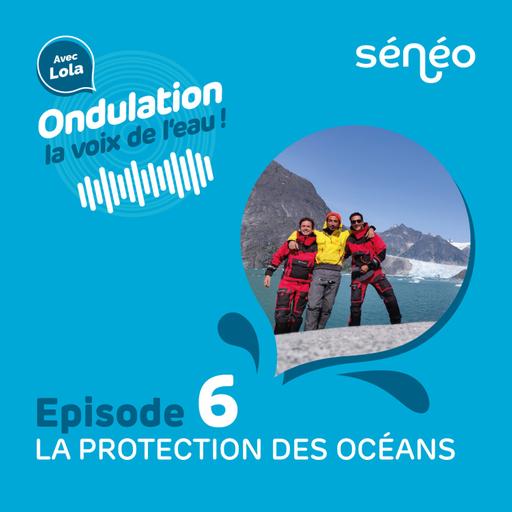 📣 Une plongée au cœur des océans !
