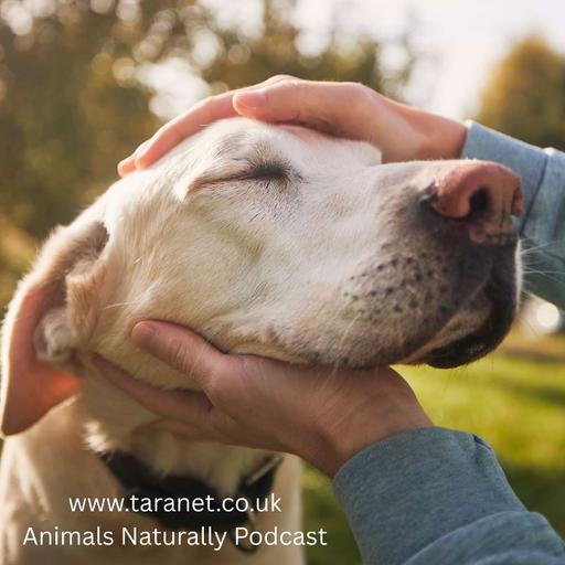 Help Your Pet Live Longer with Dr Kevin Toman