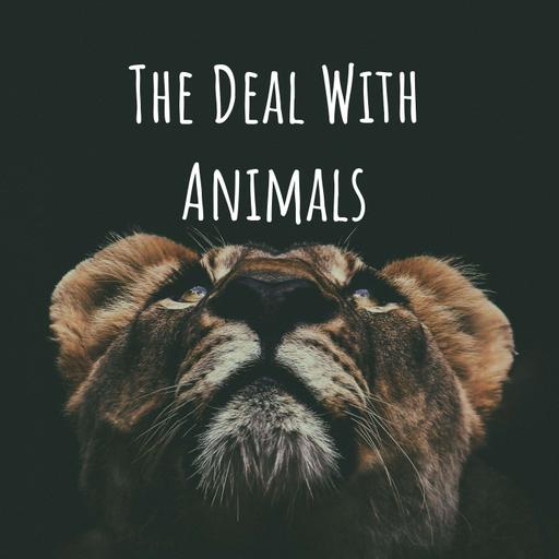 139. Spring Special! With Dr. Patricia McConnell on on Solving Murders and Herding Dogs