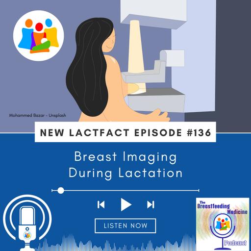 LactFact 136: Breast Imaging During Lactation