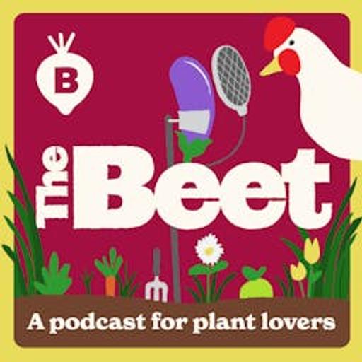 Preserve Your Harvests with Jeremy & Staci Hill | The Beet