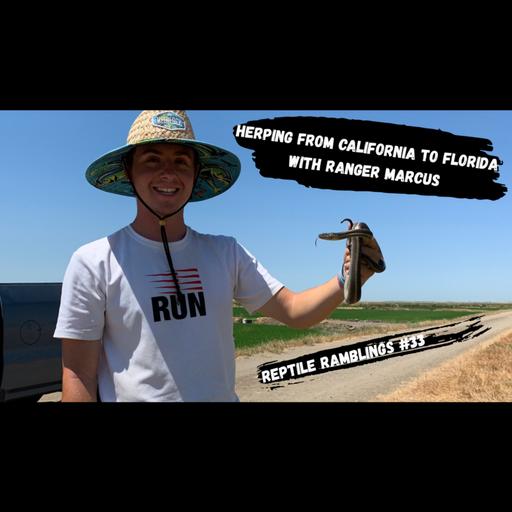 Herping from California to Florida with Ranger Marcus | Reptile Ramblings #33