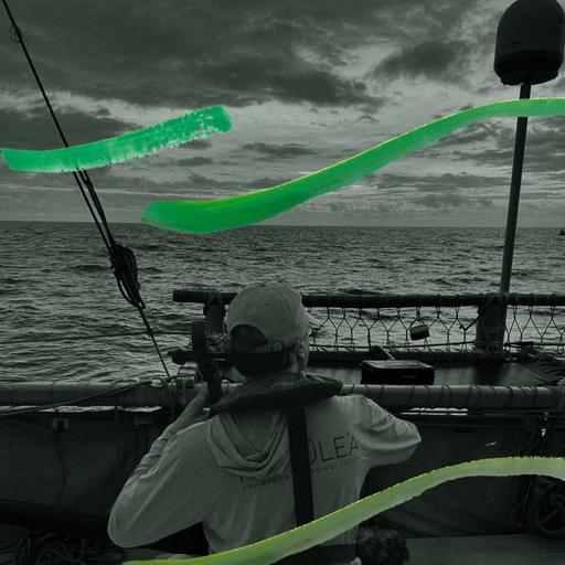 The Greeting: Yo-Yo Ma's Humpback Whale Experiment