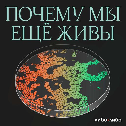 Опрос слушателей подкаста «Почему мы ещё живы»