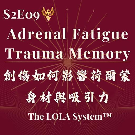 S2E09｜為什麼你的身體不願意再瘦、再快、再拚？創傷如何影響荷爾蒙、身材與吸引力