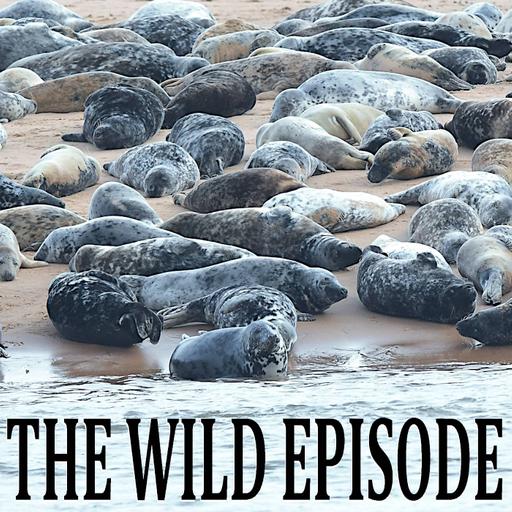 Grey Seal : The Corkscrew Killer Mystery