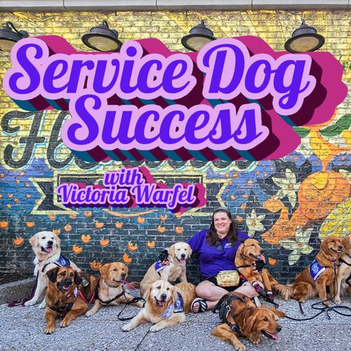 Sephoria & travel with your service dog