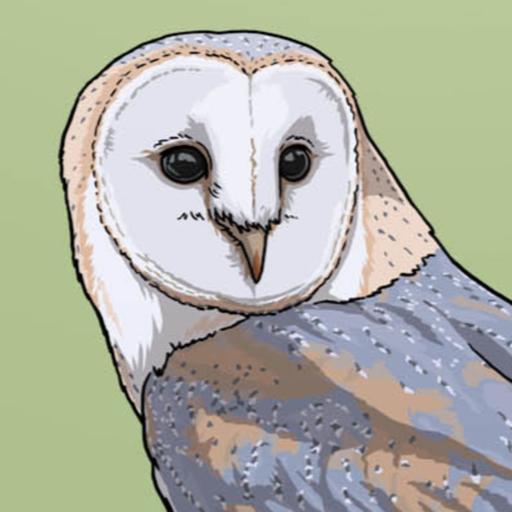Interview with Dr. Mateo Ruiz (Lead Conservation Officer at the Barn Owl Trust) | Nature Bites