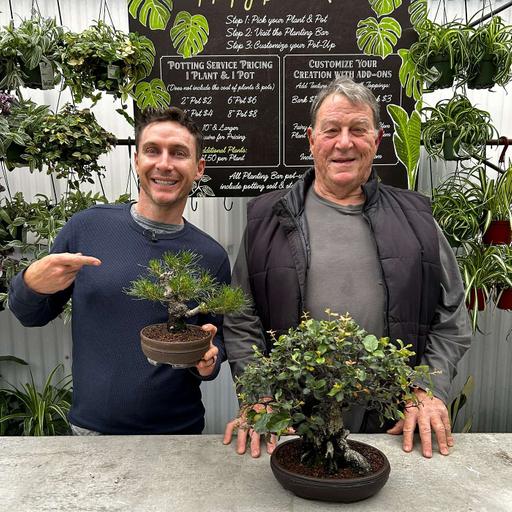 Your First Bonsai: What New Growers Should Know