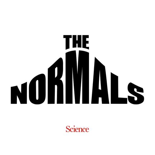 The Normals | Episode 2