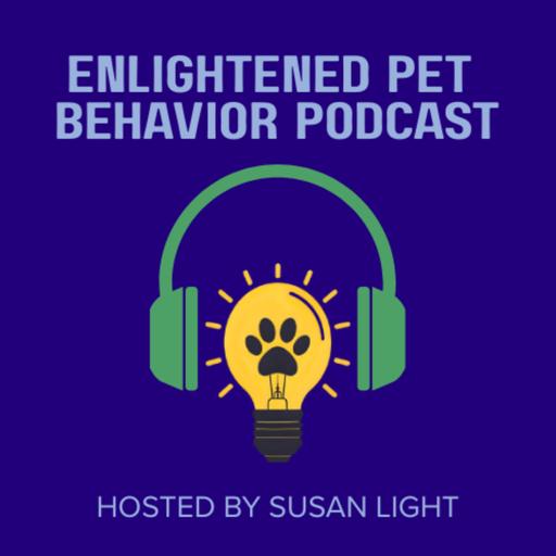 How to Catify with Stephanie Merlin