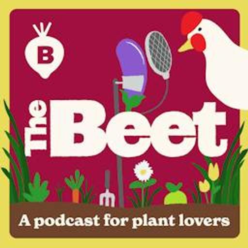 The Wild and Free Garden with Stephanie Rose | The Beet