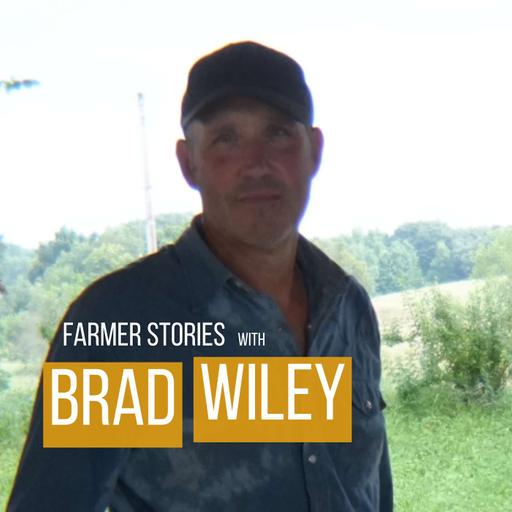 Struggle Is What Makes Us | Brad Wiley