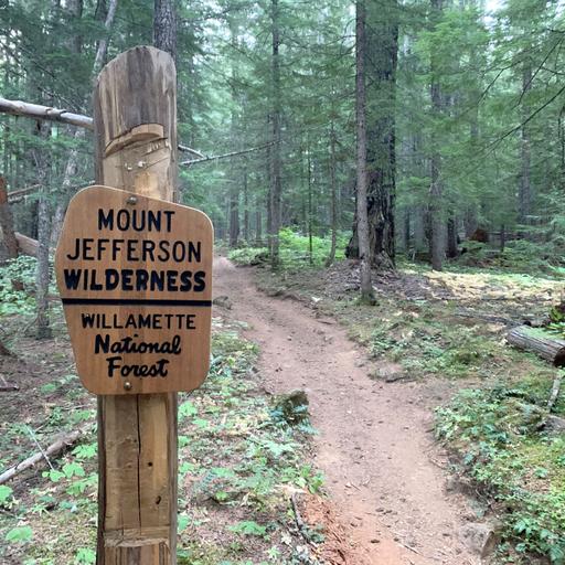 U.S. Forest Service chief Tom Schultz defends reorganization plans in interview