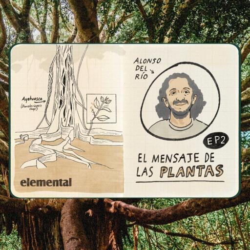 El mensaje de las plantas