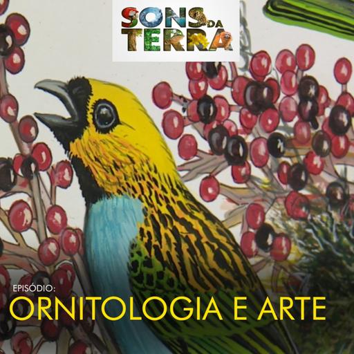 Ornitologia e arte