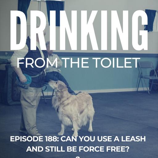 Can you use a leash and still be force free? | Hannah Branigan
