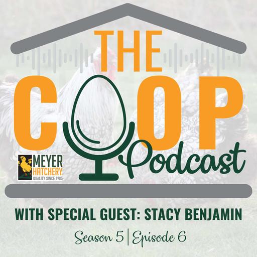 Raising Turkeys 101 with Special Guest Stacy Benjamin
