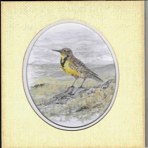 Oh-Gee-My-Feet-Are-Cold Meadowlarks