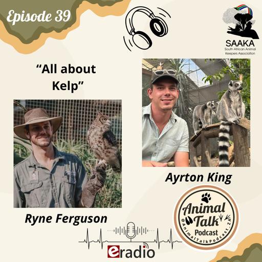 Episode 39 "All about Kelp"