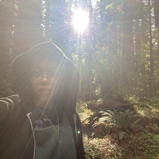 Episode 340: Clarissa Dolphin: Shamanic Realities/Harmonic Astrology/The Rich Labyrinth of Spiritual Work