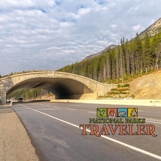 National Parks Traveler Podcast | Wildlife Crossings