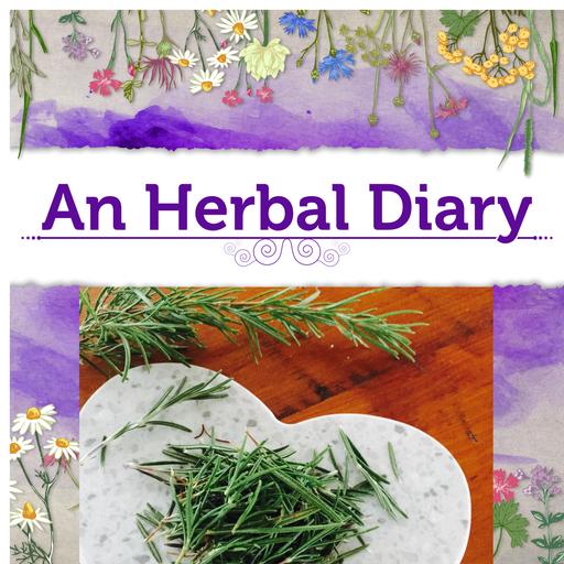 Rosemary Monograph