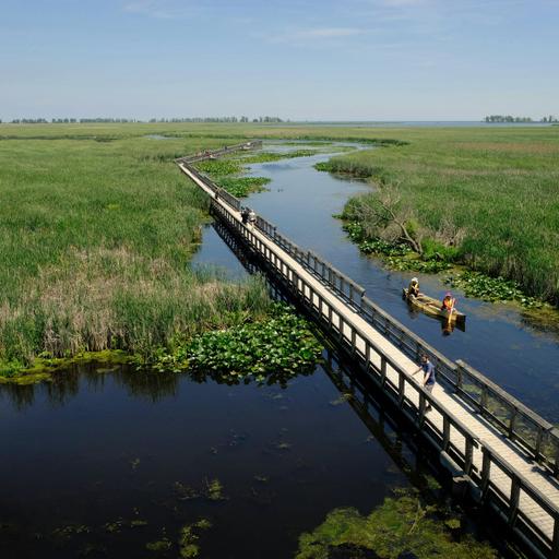 Episode 189: Kristin Schultheis, on working across the watershed