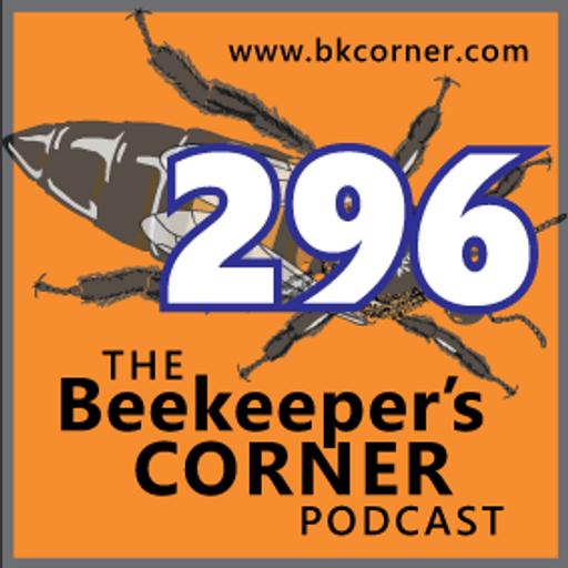 BKCorner Episode 296 - Taxable