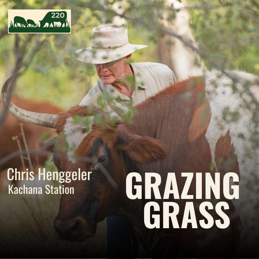 220 | Rebuilding Your Asset Base: Turning Sunshine Into Profit with Chris Henggeler